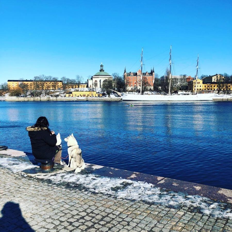 Dockside Hostel Stockholm Exterior photo